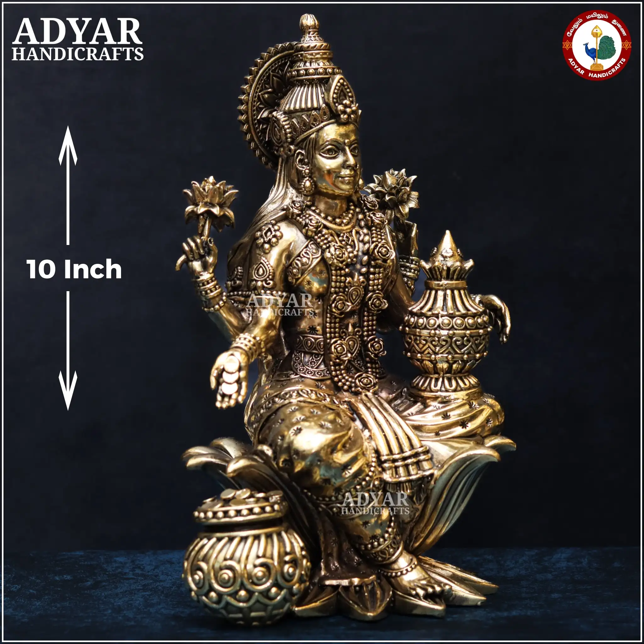 Lakshmi (Lite Weight Model) - image 3