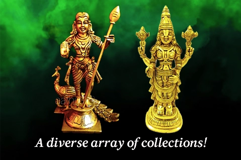 A Diverse Array of Collections