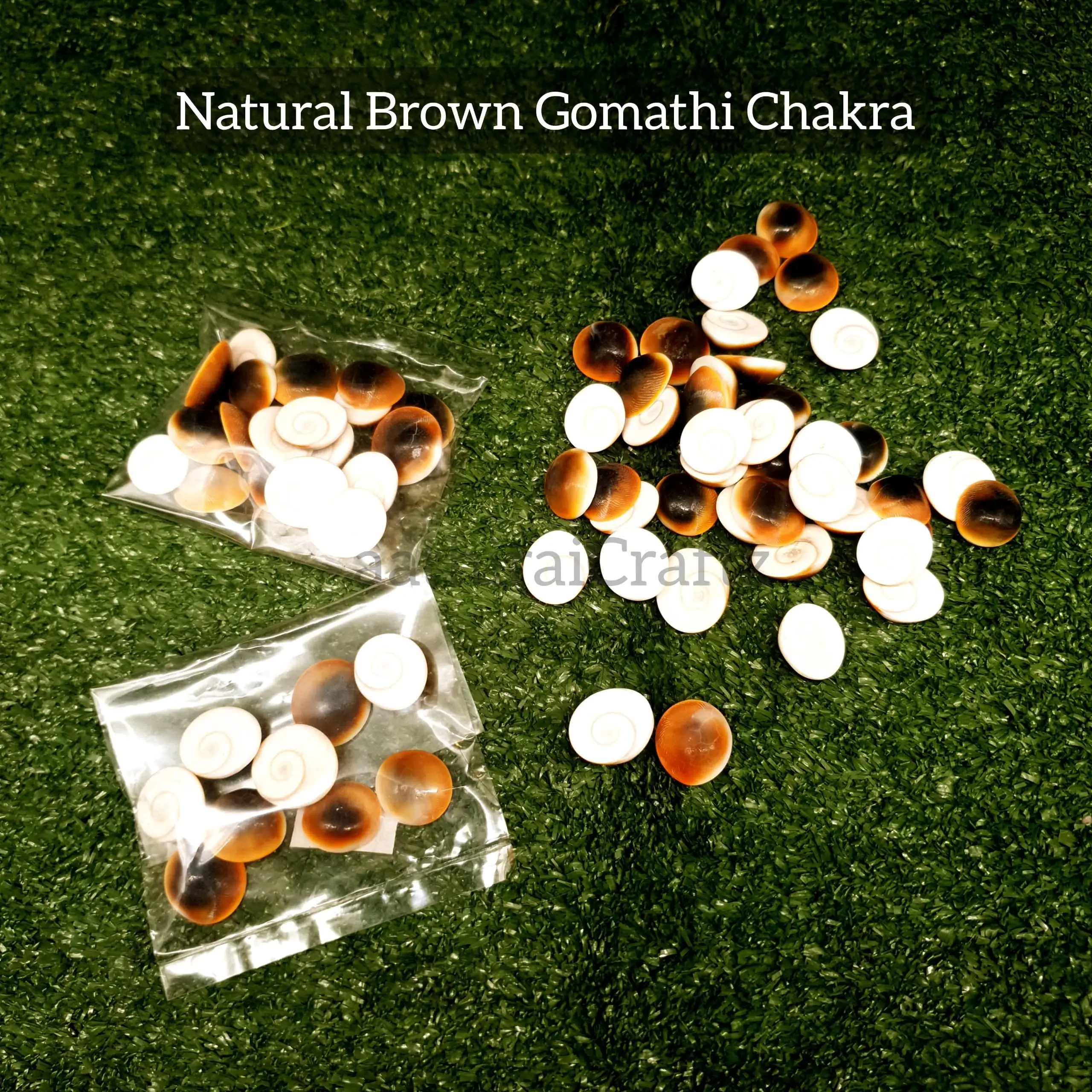 Pure Natural Gomathi Chakra - secondary