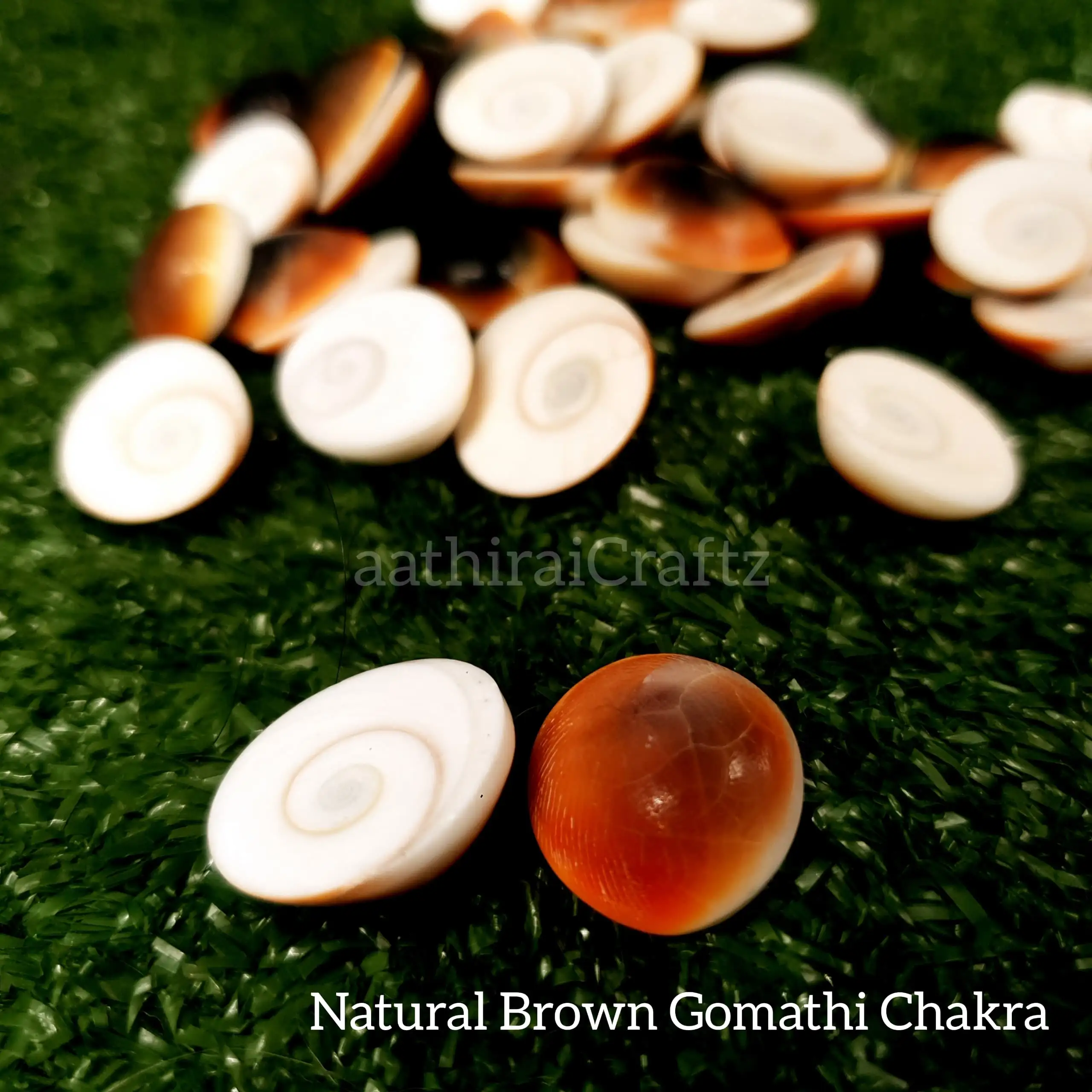 Pure Natural Gomathi Chakra