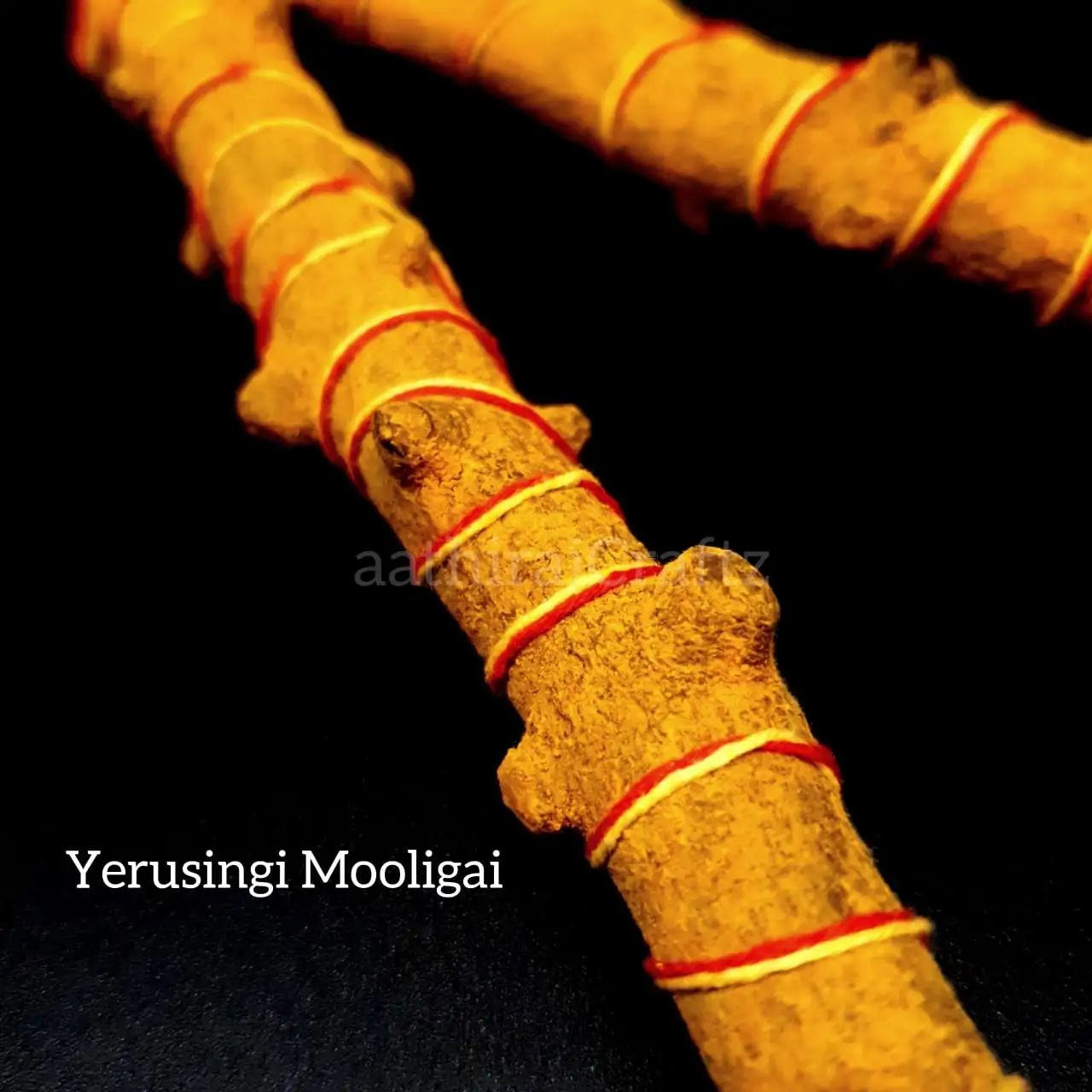 Yerusingi Mooligai Size L - secondary
