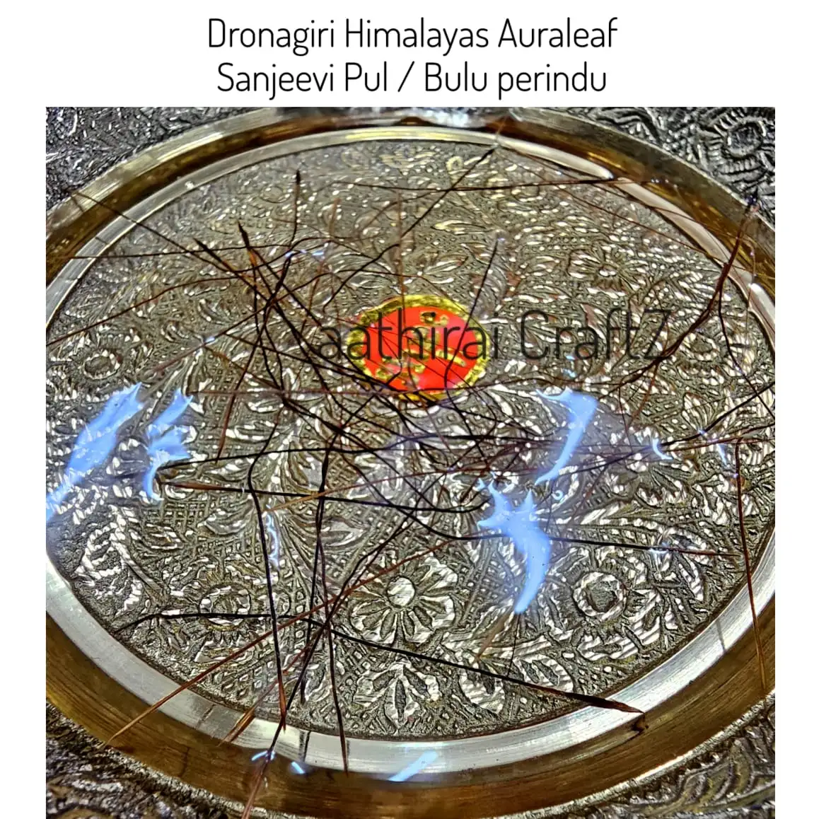 Dronagiri Sanjeevi Pul - secondary