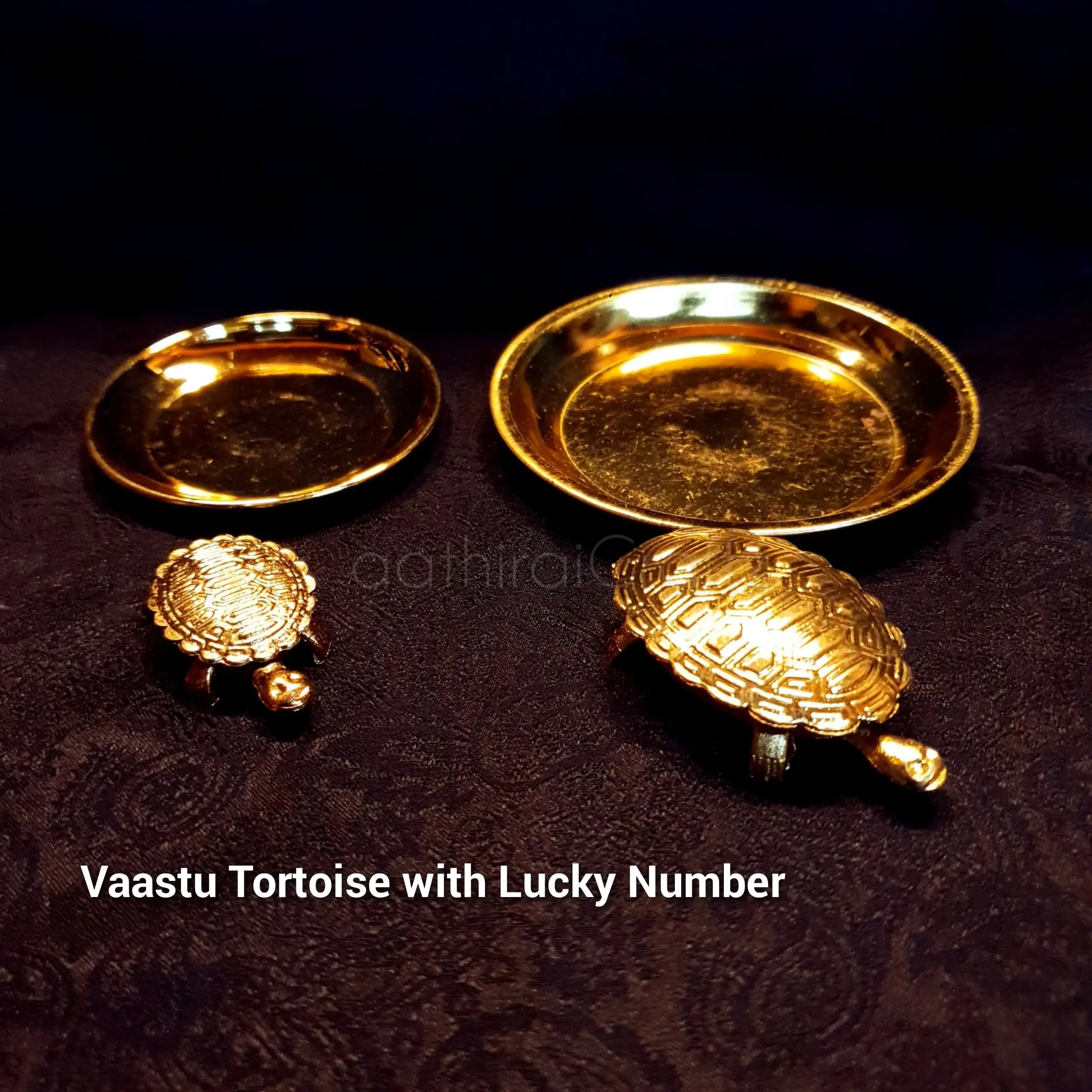 Vaastu Tortoise with Tray and Lucky Number
