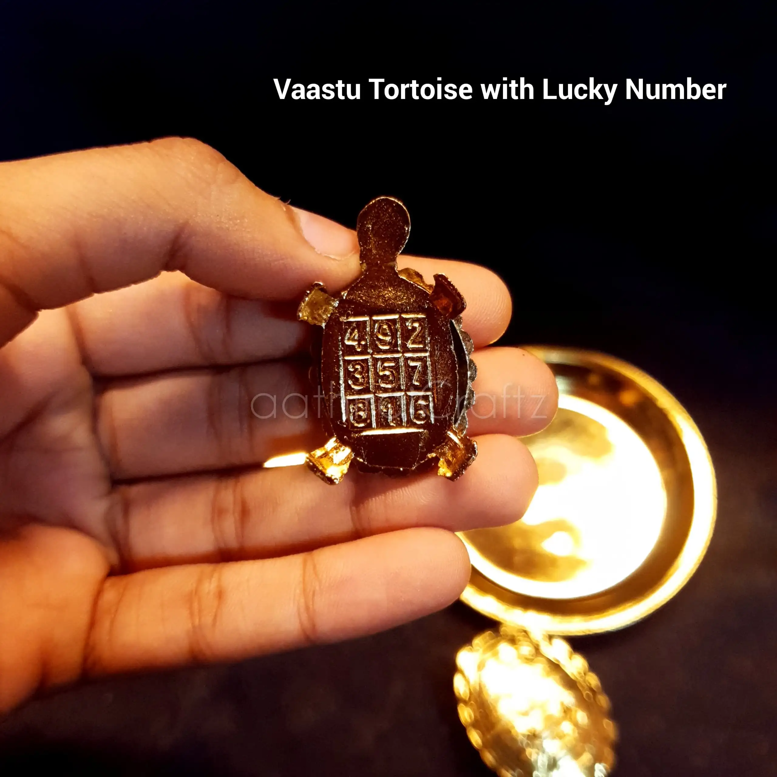 Vaastu Tortoise with Tray and Lucky Number - secondary