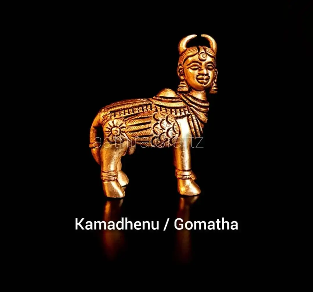 Kamadhenu Pasu