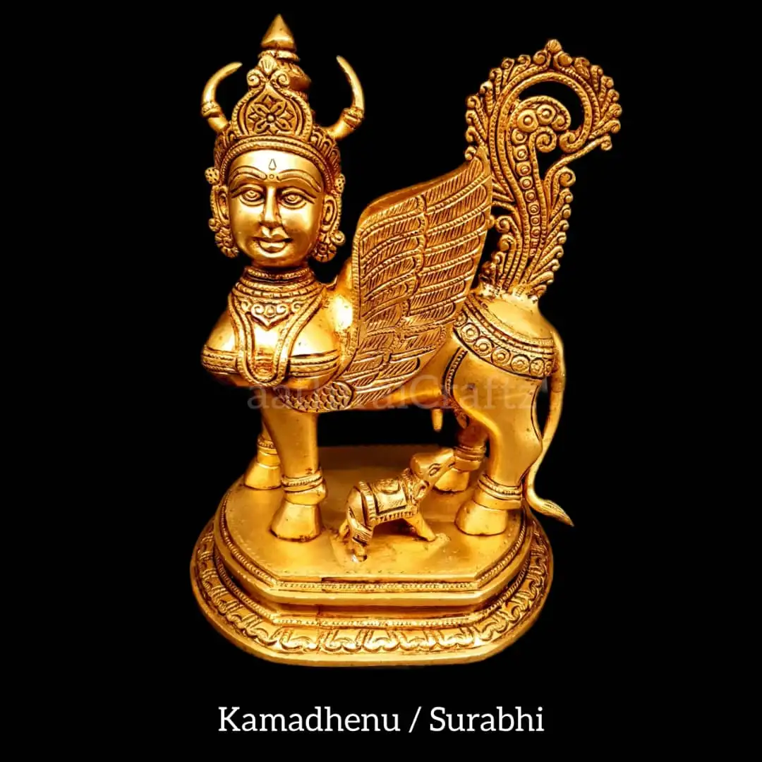 Kamadhenu / Surabhi ( B )