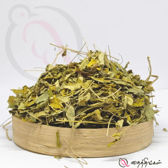 Dried Nochi Leaf (காய்ந்த நொச்சி இலை): A Natural Healing Herb
