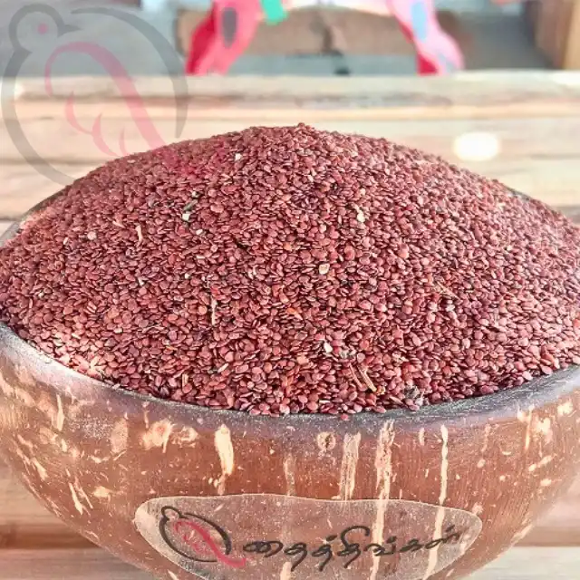 Discover the Magic of Neermulli Seeds: Your Key to Natural Wellness 🌿