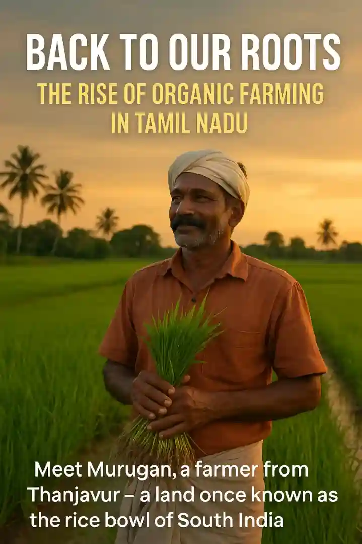 Organic Farming – Growing with Nature, Living with Health