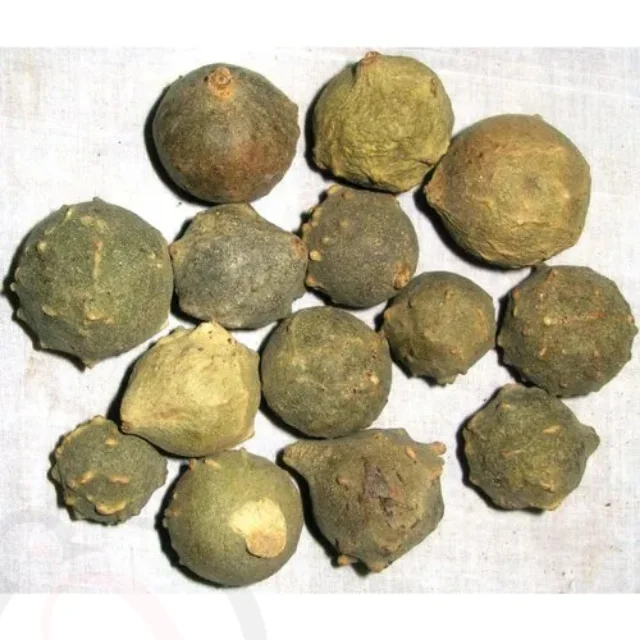 மாசிக்காய் பொடி / புளூஜாக் பவுடர் (50 கிராம்)