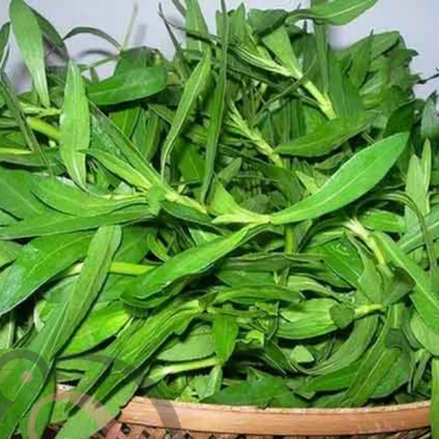 பொன்னாங்கண்.ணிபொடி (50 கிராம்)