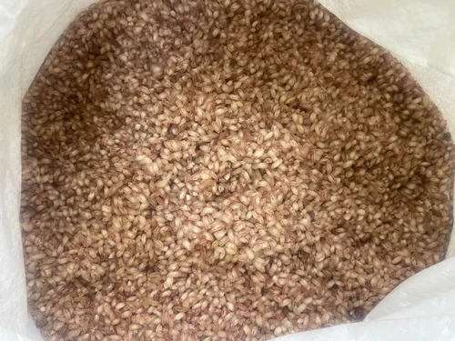 கொட்டாரச் சம்பா - 1kg