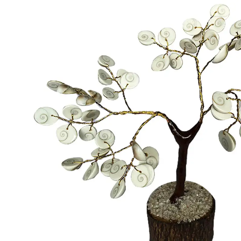 50 Beeds Gomathi Chakram Healing tree - secondary