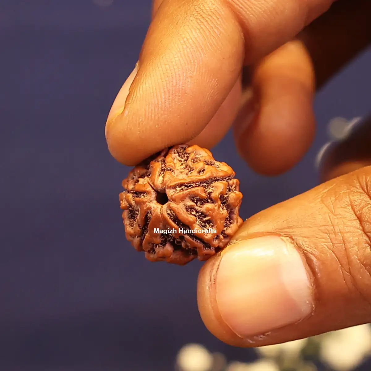 Five face Rudhraksham bead Medium - image 3