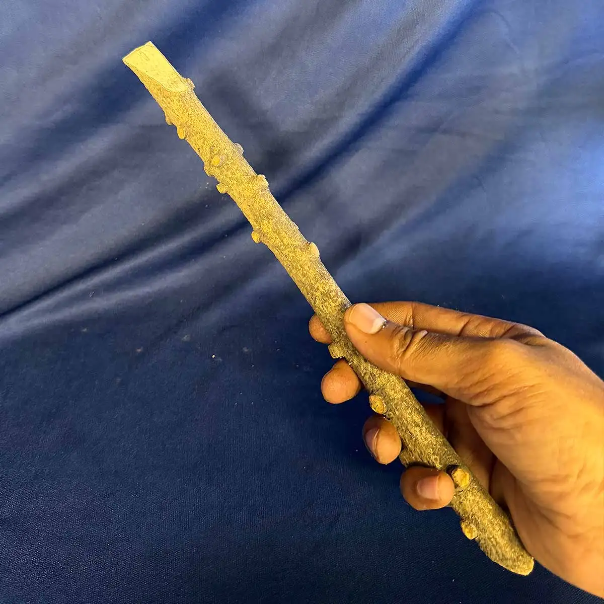 Yeru Singi Stick