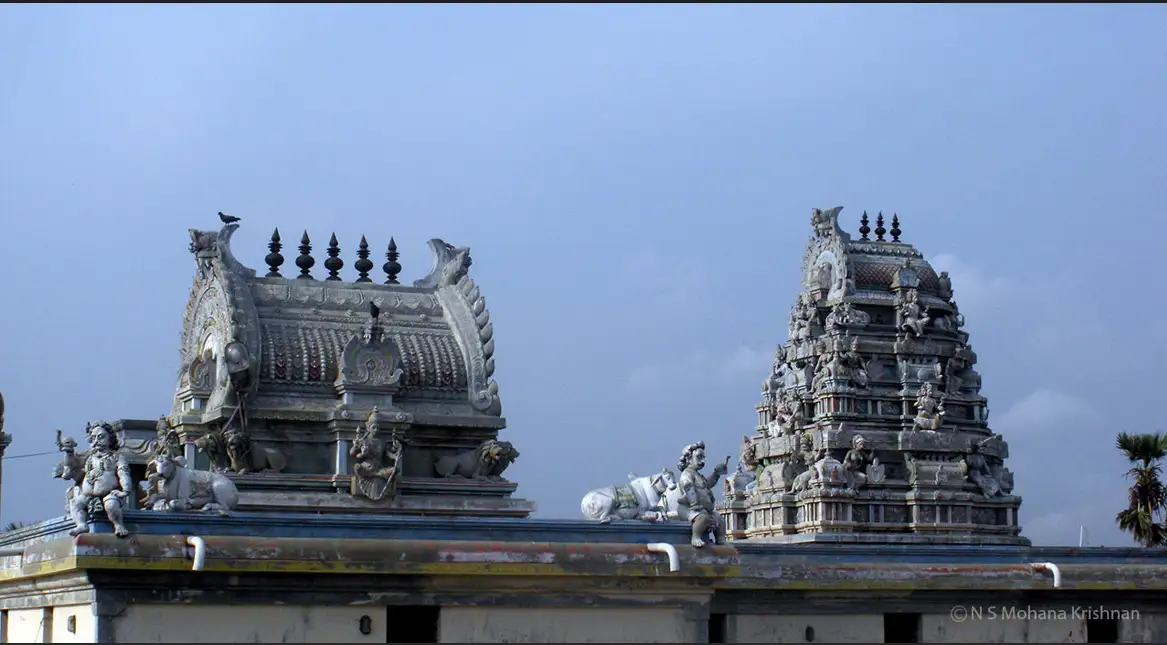 Varahi Amman 9 Inches