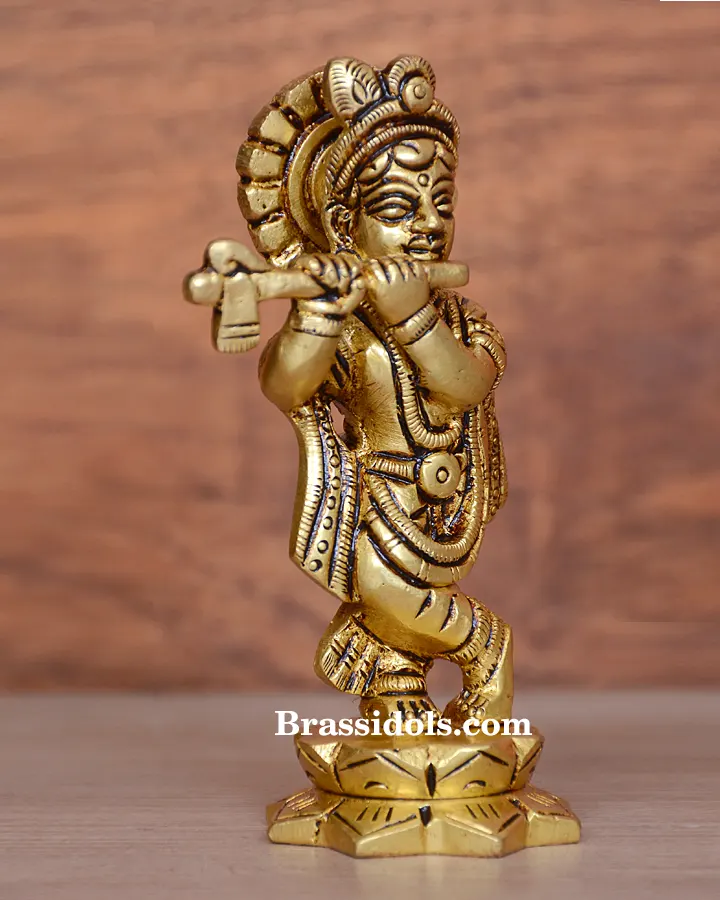 Standing with Kamal Krishna - image 4