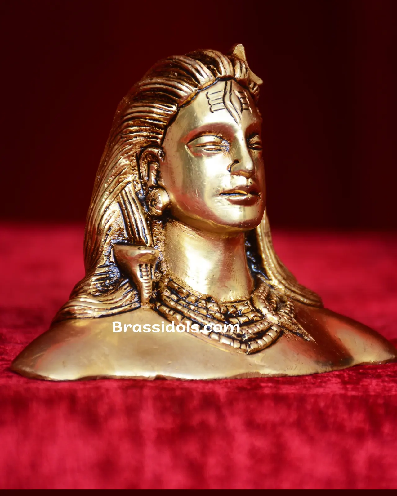 Adiyogi with golden Base - image 3