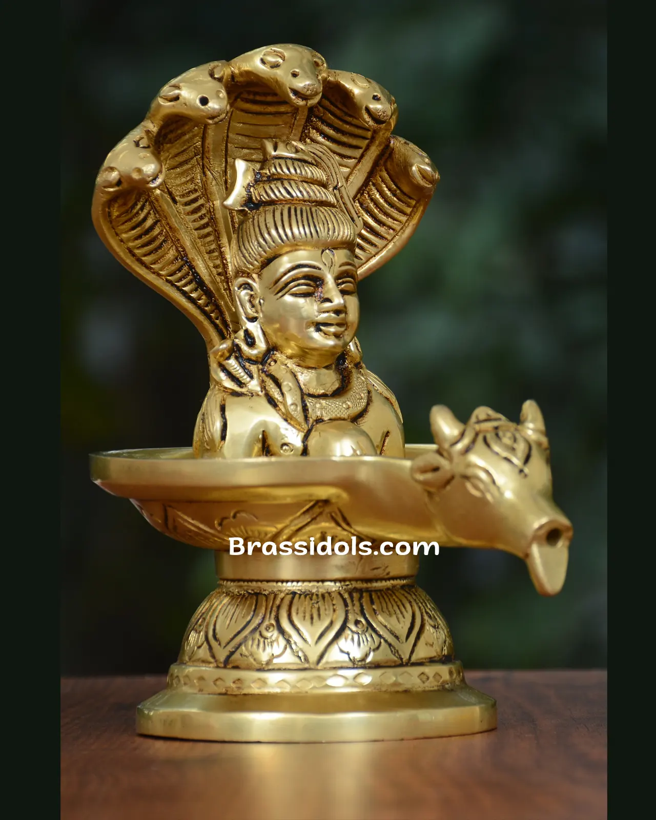 Nandi Nag Shivaling Mukhi - image 3