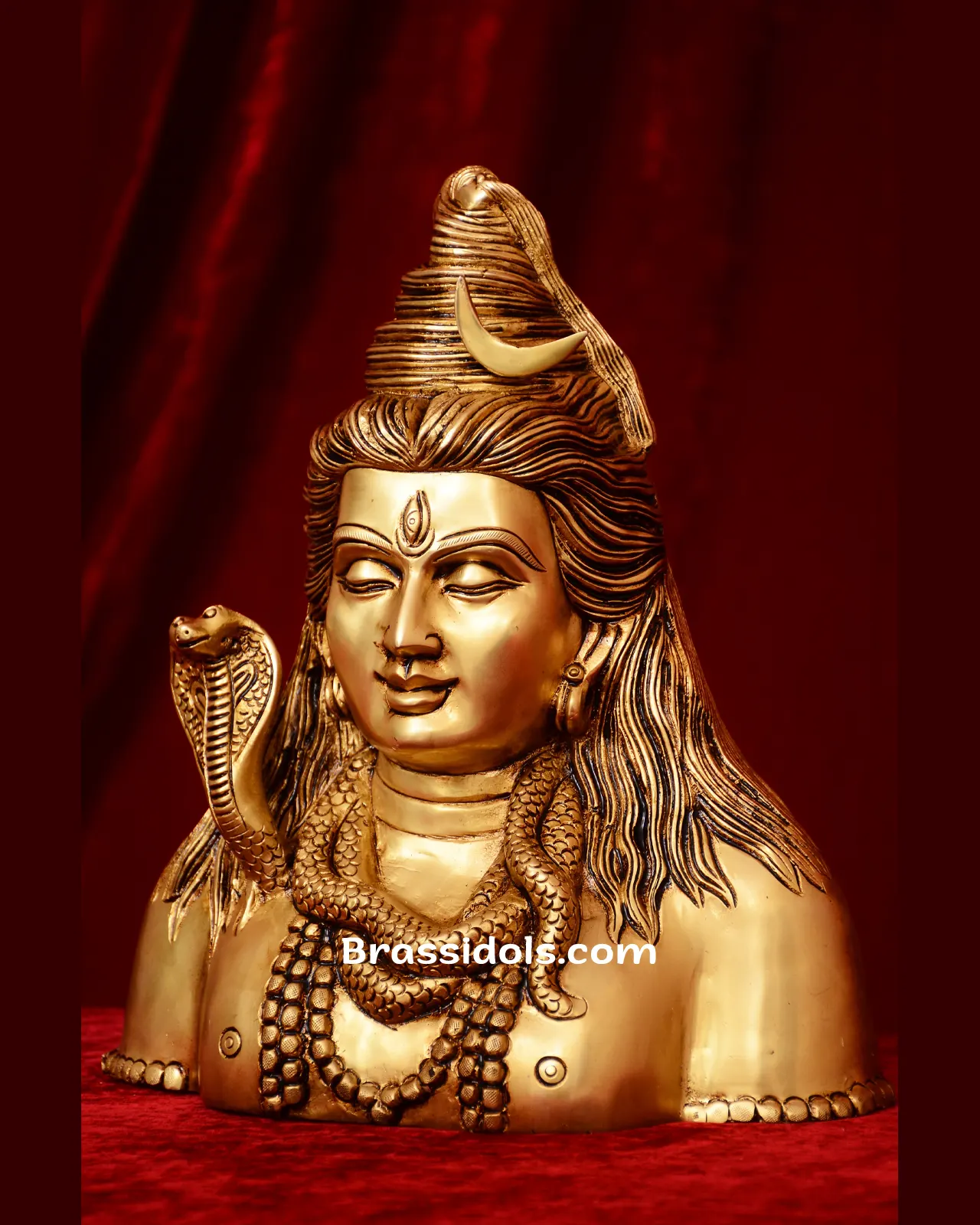 Half Body Shiva Face - image 3