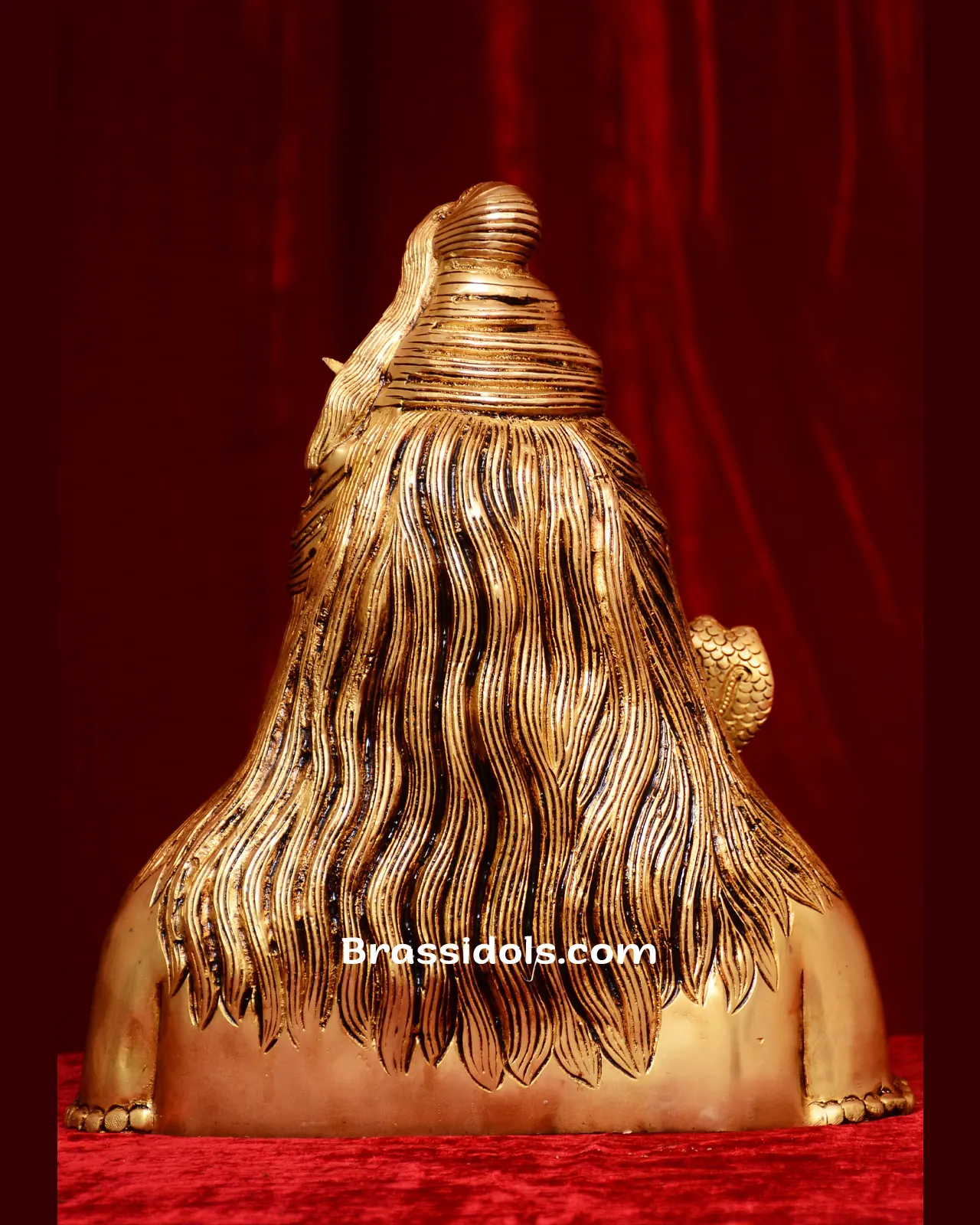 Half Body Shiva Face - image 4
