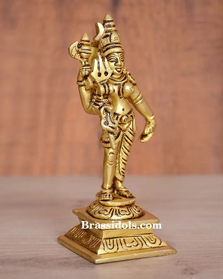 Ardhanarishwara - image 3