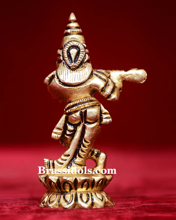 Standing Kamal Krishna - image 3