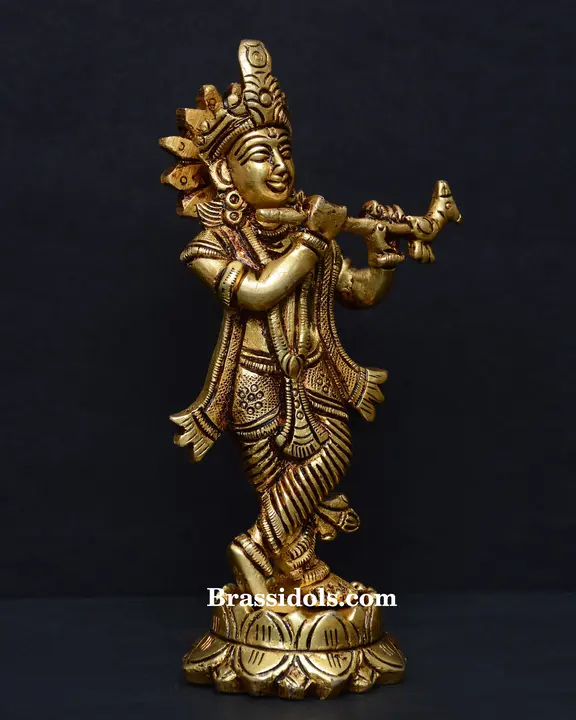 Kamal Krishna - image 3