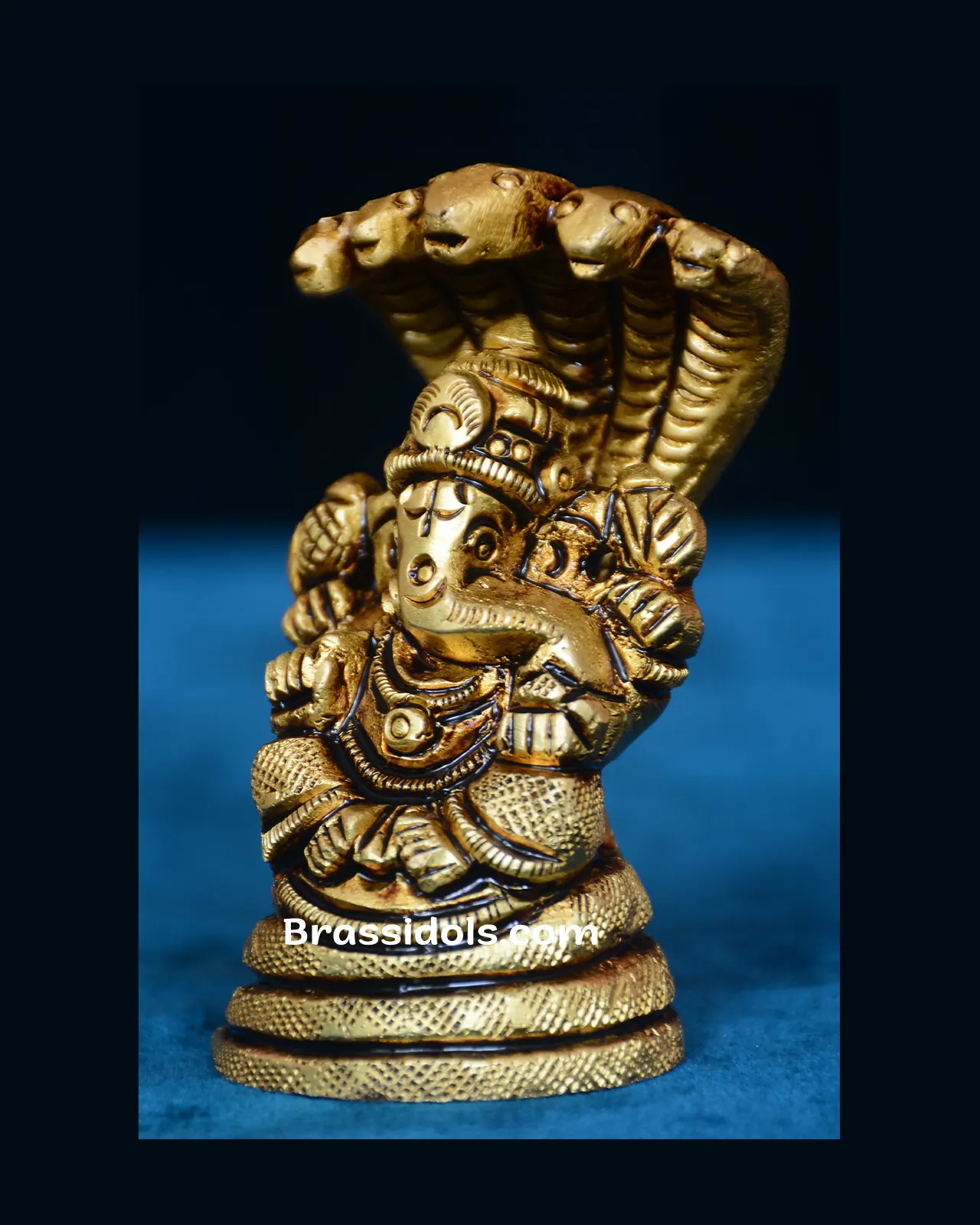Snack Ganesh - image 3