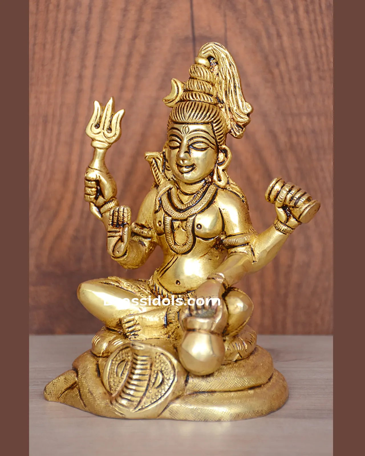 Shiva - image 4
