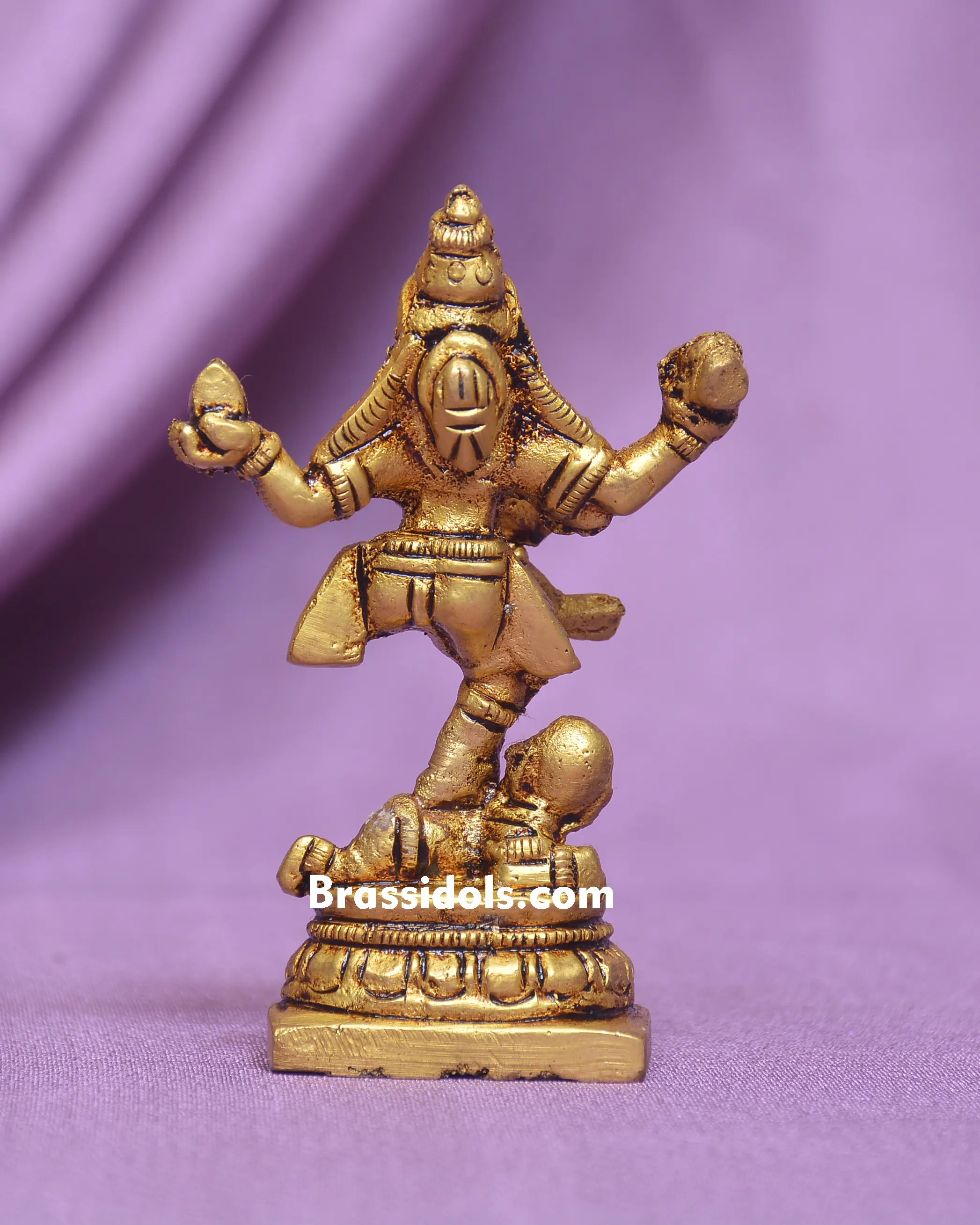 NATRAJ IDOL - image 4