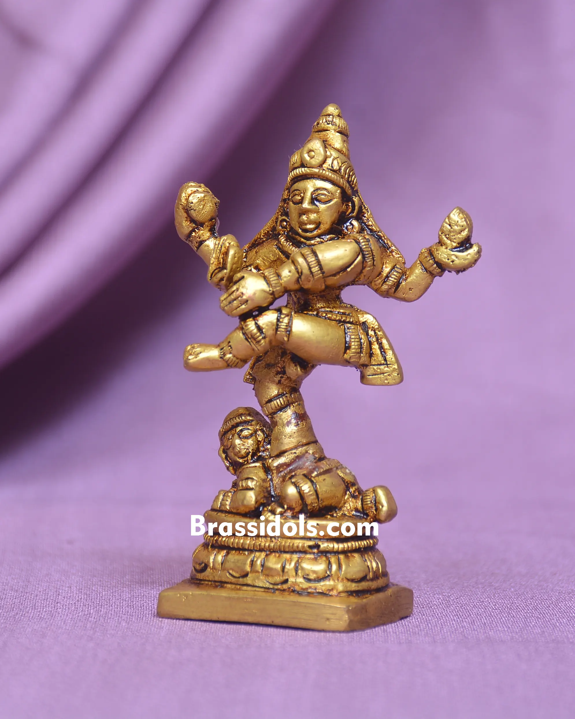 NATRAJ IDOL - image 3