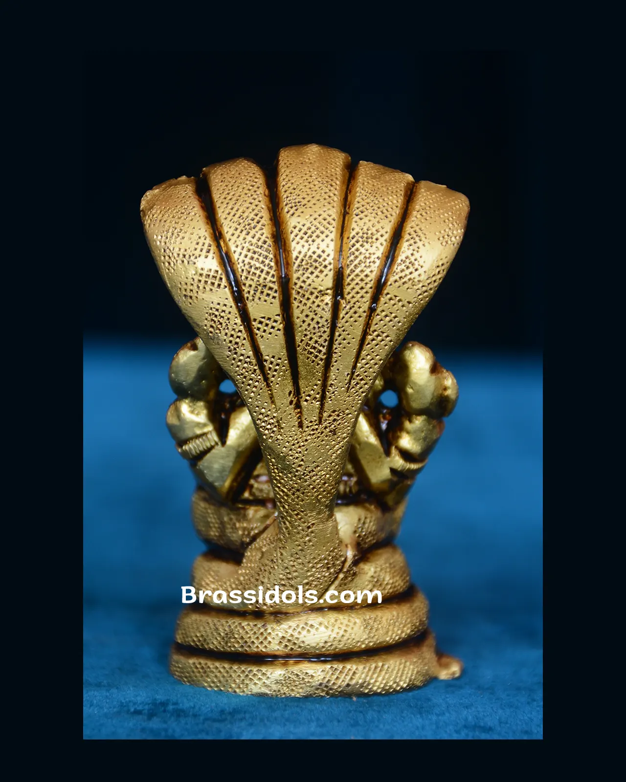 Snack Ganesh - image 4