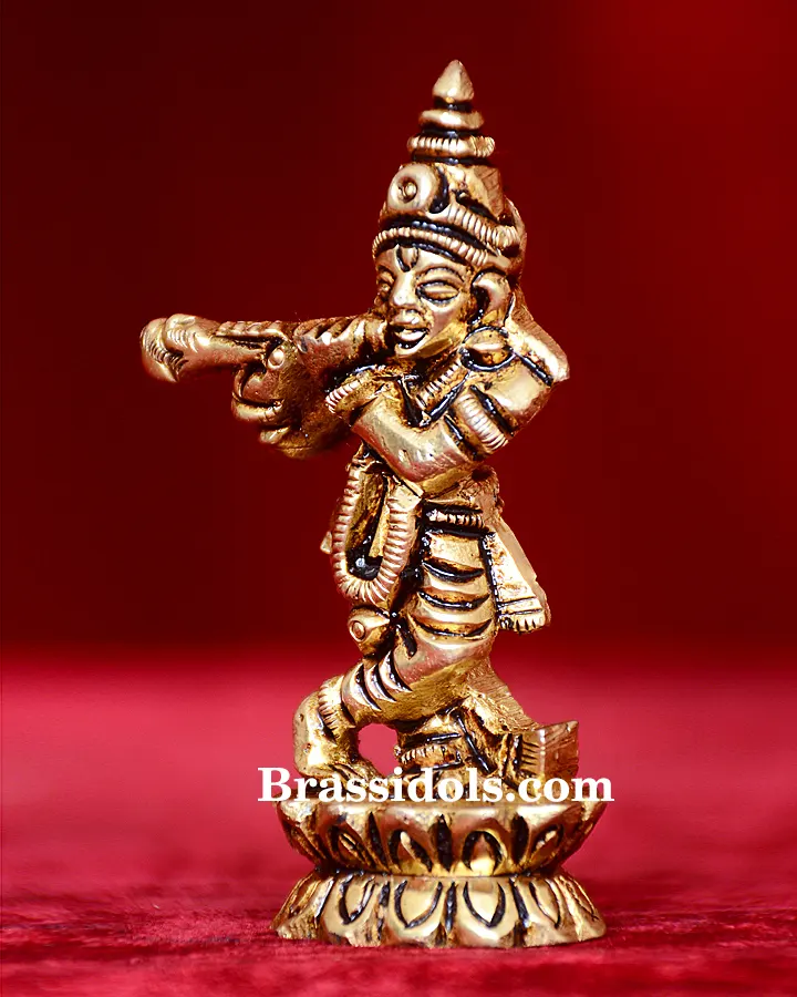 Standing Kamal Krishna - image 4