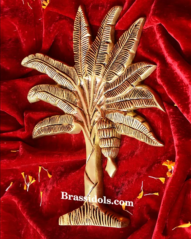 Pooja Banana Tree - image 3