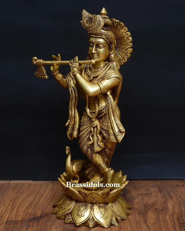Kamal Krishna - image 3