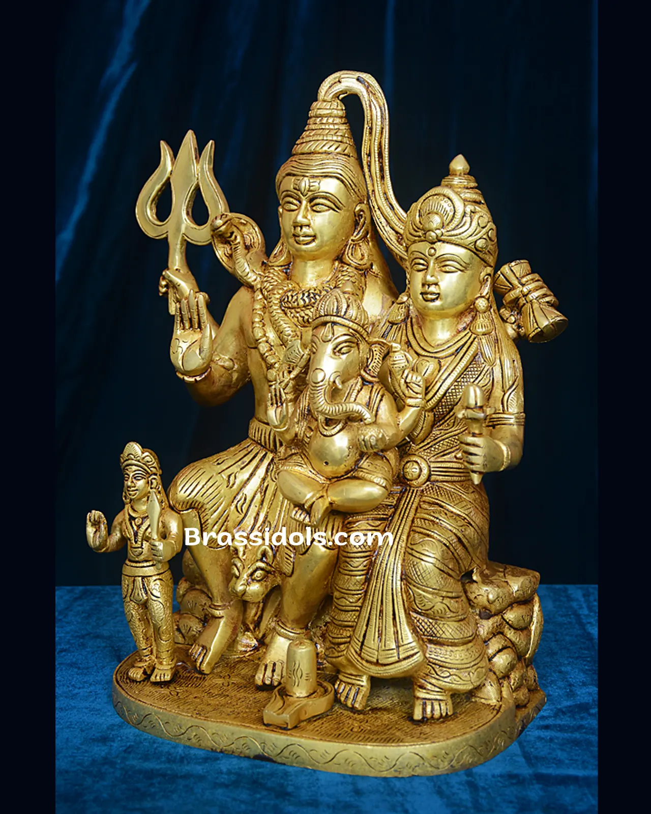 Shiv Family - image 4