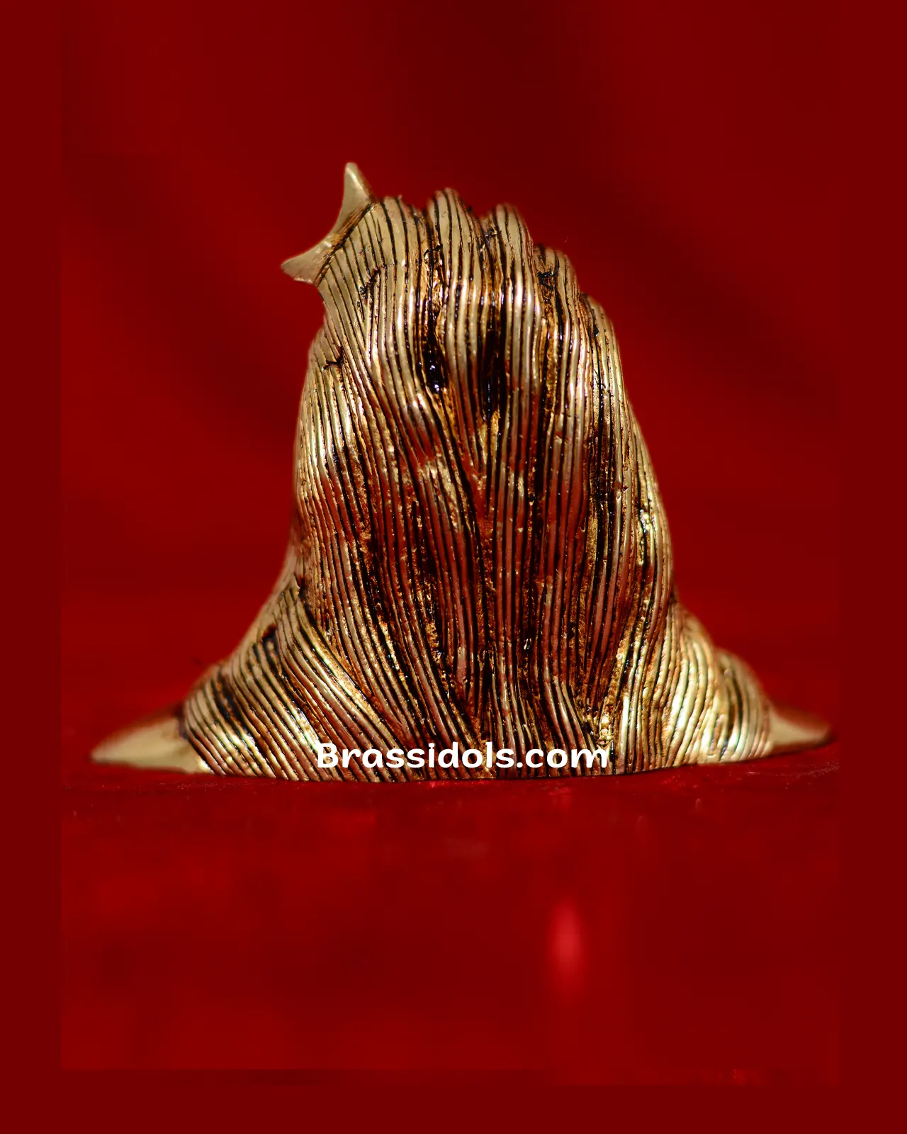 Adiyogi Without Base - image 4