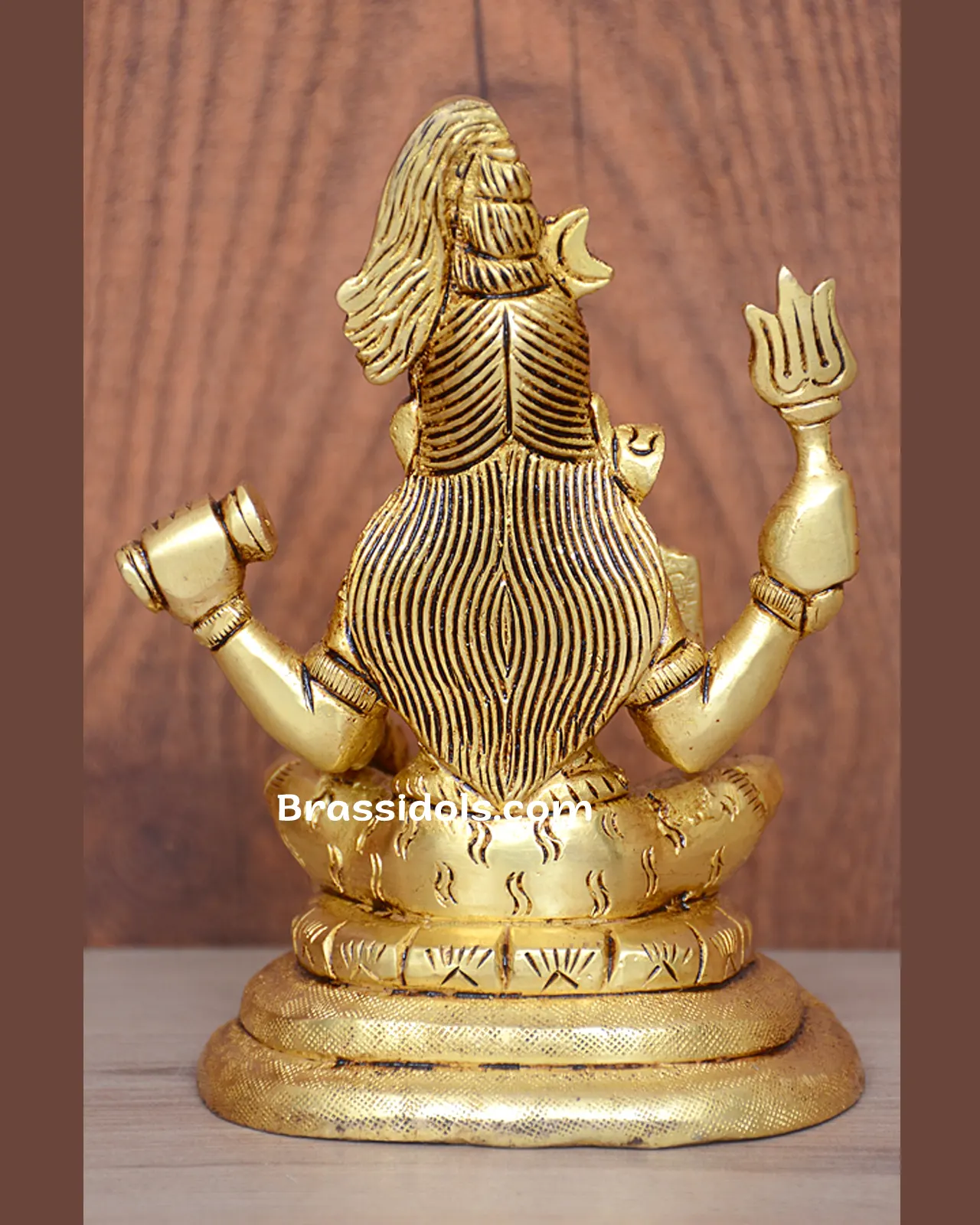 Shiva - image 5