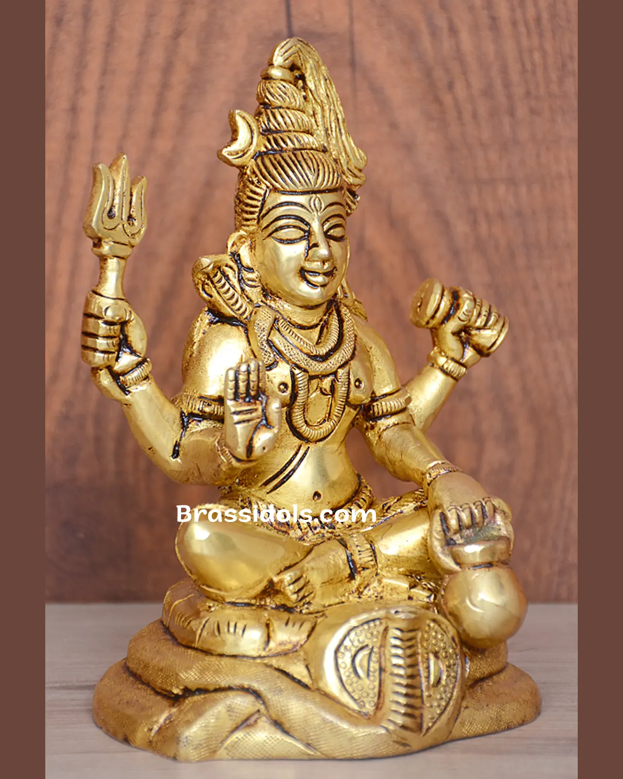 Shiva - image 3