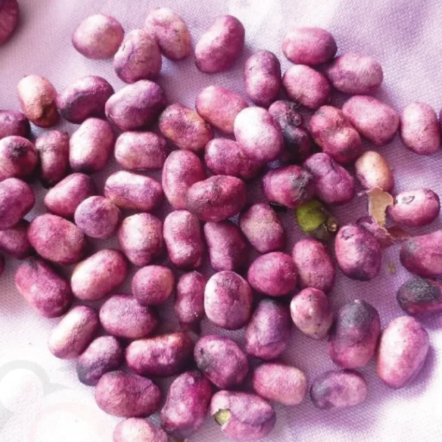 Jamun Seed Powder (50gm)