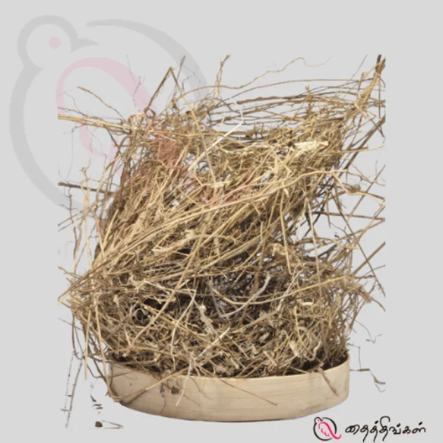 Keezhanelli Root / Stonebreaker Root