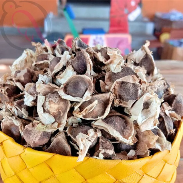 Murungai Seed / Moringa Tree Seed