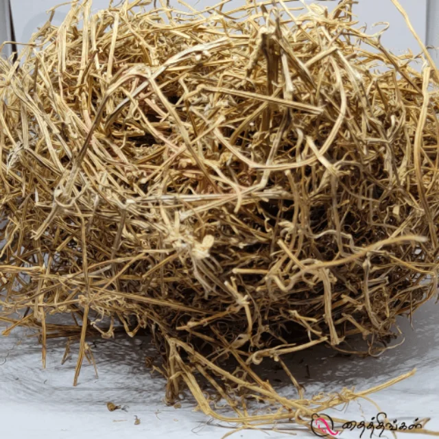 Peypudal Root / Miracle Root