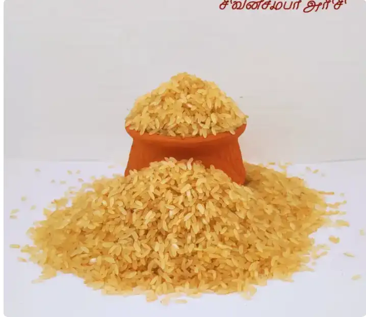 Sivan Samba Rice 500gmThingal Essentials LLP