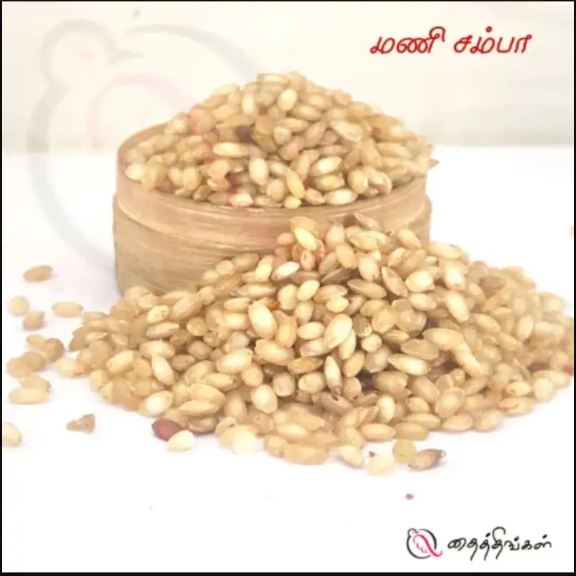 MANI SAMBA RICE 500gm